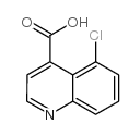 5-氯喹啉-4-甲酸