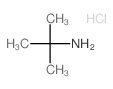 2-氨基-2-甲基丙烷盐酸盐 (10017-37-5)