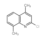 2-氯-4,8-二甲基喹啉