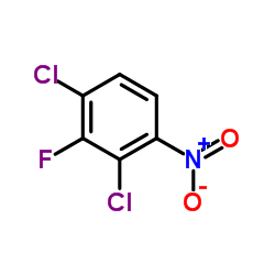 2,4-二氯-3-氟-1-硝基苯