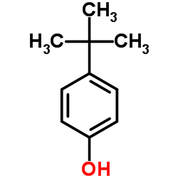 4-叔丁基苯酚
