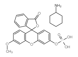3-O-甲基荧光黄磷酸盐单环己基铵盐 (21233-09-0)