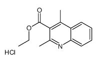 2,4-二甲基喹啉-3-羧酸乙酯盐酸盐