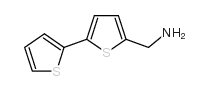 C-[2,2-二硫代苯-5-基甲基]胺