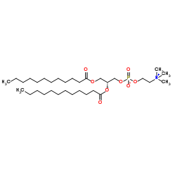 1,2-二十二酰基-SN-GLYCERO-3-胆碱磷酸