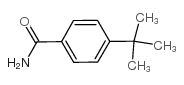 4-叔-丁基苯甲酰胺