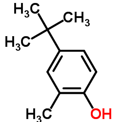 4-叔丁基-2-甲基苯酚