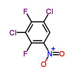 2,4-二氟-3,5-二氯硝基苯