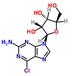 6-氯鸟嘌呤核苷 (2004-07-1)
