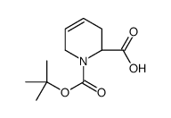 (S)-N-BOC-1,2,3,6-四氢-2-吡啶羧酸