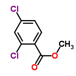 2,4-二氯苯甲酸甲酯