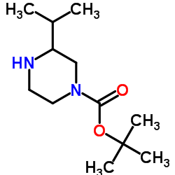 1-BOC-3-异丙基哌嗪