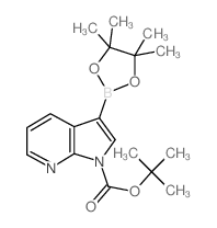 1-叔丁氧羰基-7-氮杂吲哚-3-硼酸频哪醇酯