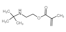 甲基丙烯酸2-(叔丁基氨基)乙酯