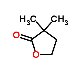 ALPHA,ALPHA-二甲基-GAMMA-丁内酯