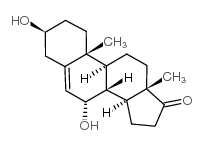 7-羟基去氢表雄酮