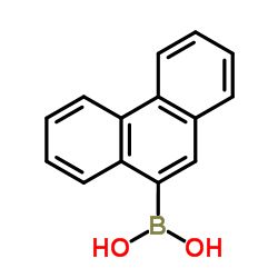 菲-9-硼酸 97.0%