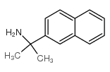 2-(萘-2-基)-2-丙胺