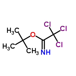 叔丁基三氯乙酰亚胺脂