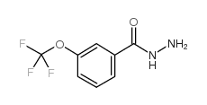 3-(三氟甲氧基)苯甲酰肼