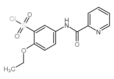 2-乙氧基-5-(吡啶-2-羧酰胺)-1-苯磺酰氯