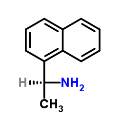 Biotin-Amyloid-β (1-40) Peptide (trifluoroacetate salt)