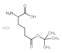 (S)-2-氨基己二酸 6-叔丁酯
