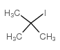 碘代叔丁烷
