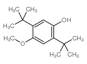 2,5-二叔丁基-4-甲氧基苯酚