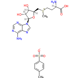 S-腺甘基蛋氨酸 (17176-17-9)