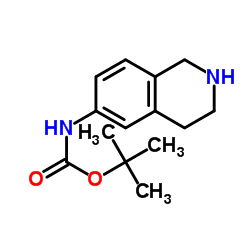 (1,2,3,4-四氢-异喹啉-6-基)-特丁基氨基甲酸酯