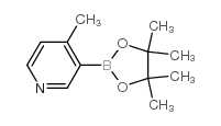 4-甲基吡啶-3-硼酸频哪醇酯