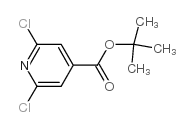 2,6-二氯异烟酸叔丁基酯