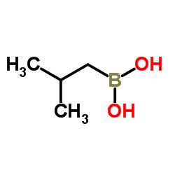 异丁基硼酸