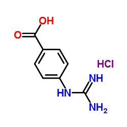 4-胍基苯甲酸盐酸盐 99.0%