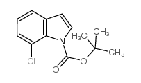 1-BOC 7-氯吲哚