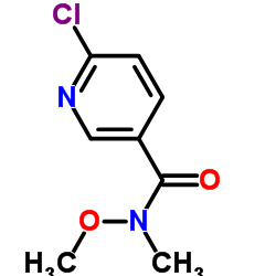 6-氯-n-甲氧基-n-甲基烟酰胺