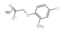 (4-氯-2-甲基苯氧基)乙酸钠盐