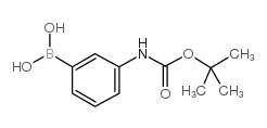 3-(Boc-氨基)苯硼酸
