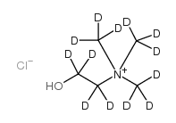 氯化胆碱-D13