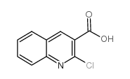 2-氯喹啉-3-甲酸