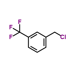 1-氯甲基-3-三氟甲基苯