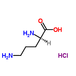 D-鸟氨酸盐酸盐 (16682-12-5)