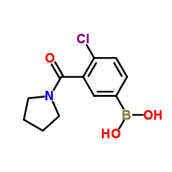 4-氯-3-(1-吡咯烷基羰基)苯硼酸
