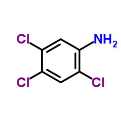 2,4,5-三氯苯胺 (636-30-6)