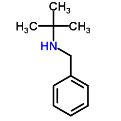 N-叔丁基苄胺 (3378-72-1)