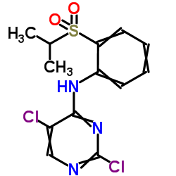 2,5-二氯-N-[2-[(1-甲基乙基)磺酰]苯基]