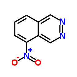 5-硝基酞嗪