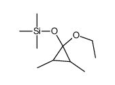 (9CI)-[(1-乙氧基-2,3-二甲基环丙基)氧基]三甲基-硅烷