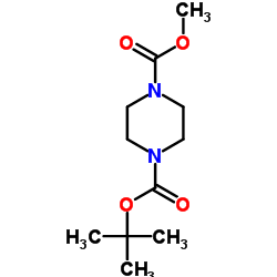 4-甲基 哌嗪-1,4-二羧酸-1-叔丁酯